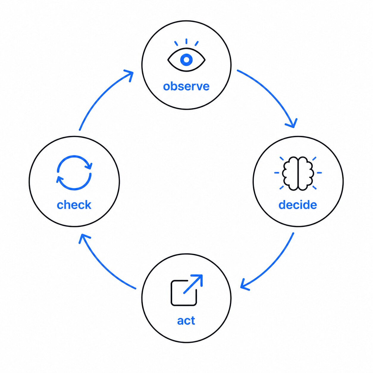 Circular agentic loop diagram showing the observe, decide, act, and check stages