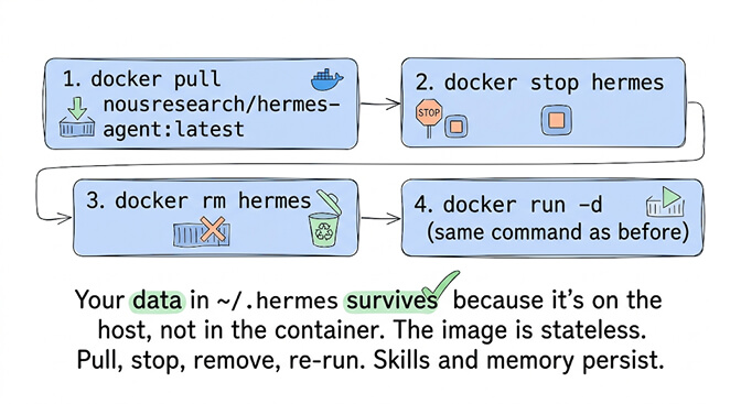 Hermes Docker update steps: docker pull, docker stop, docker rm, docker run — data in ~/.hermes survives because it lives on the host