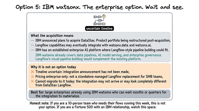Option 5: IBM watsonx. The enterprise option. Wait and see.