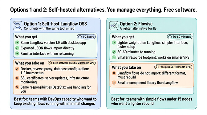 Options 1 and 2: Self-hosted Langflow OSS and Flowise. Same architecture, same everything: free software.