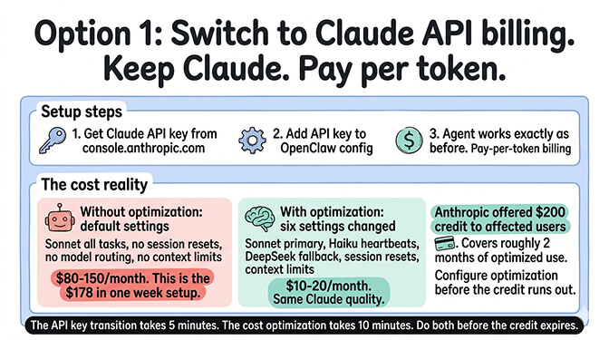 Option 1 keep Claude on API billing: Sonnet at $3 per million input and $15 per million output, $10-20 per month optimized or $80-150 per month unoptimized, $200 Anthropic credit covers about 2 months