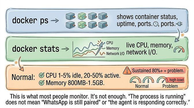 docker ps and docker stats output showing OpenClaw container baselines: CPU 1-5% idle, memory 800MB-1.5GB
