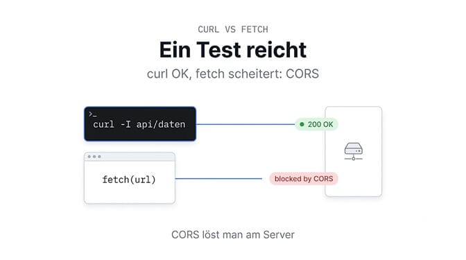 Ein Test reicht: curl antwortet, fetch schlägt fehl, also liegt es an CORS und nicht am Server