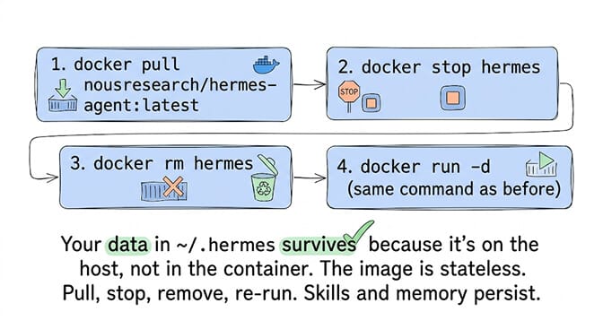 Hermes Docker update steps: docker pull, docker stop, docker rm, docker run — data in ~/.hermes survives because it lives on the host