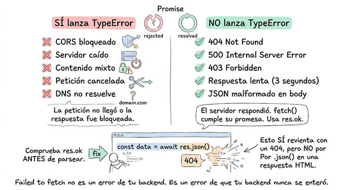 Qué lanza y qué no lanza un TypeError: la promesa de fetch se rechaza con CORS bloqueado, servidor caído, contenido mixto, petición cancelada y DNS que no resuelve, porque la petición no llegó o la respuesta fue bloqueada. En cambio se resuelve correctamente con un 404 Not Found, un 500 Internal Server Error, un 403 Forbidden, una respuesta lenta de tres segundos o un JSON malformado en el body, porque el servidor respondió y fetch cumplió su promesa. Comprueba res.ok antes de parsear: const data = await res.json() sí revienta con un 404, pero por .json() sobre una respuesta HTML, no por fetch