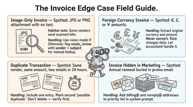 The invoice edge case field guide: how to handle image-only invoices, foreign currency invoices, duplicate payment confirmations, and annual renewal invoices buried in marketing emails.