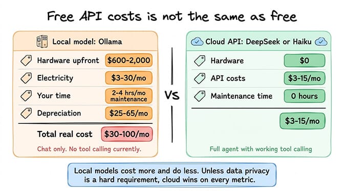 Total cost of ownership comparison: local hardware vs cloud APIs over 12 months, hand-drawn pastel style