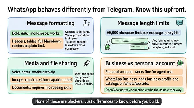 OpenClaw WhatsApp formatting and media support showing text, voice notes, and file handling differences