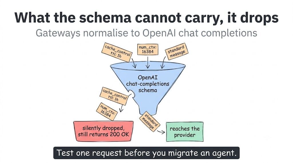 A request carrying cache_control ttl 1h, num_ctx 16384 and a standard message passes through a funnel shaped like the OpenAI chat-completions schema; only the standard message reaches the provider, the other two are silently dropped with a 200 OK