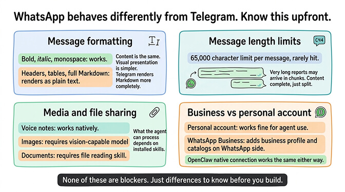OpenClaw WhatsApp formatting and media support showing text, voice notes, and file handling differences