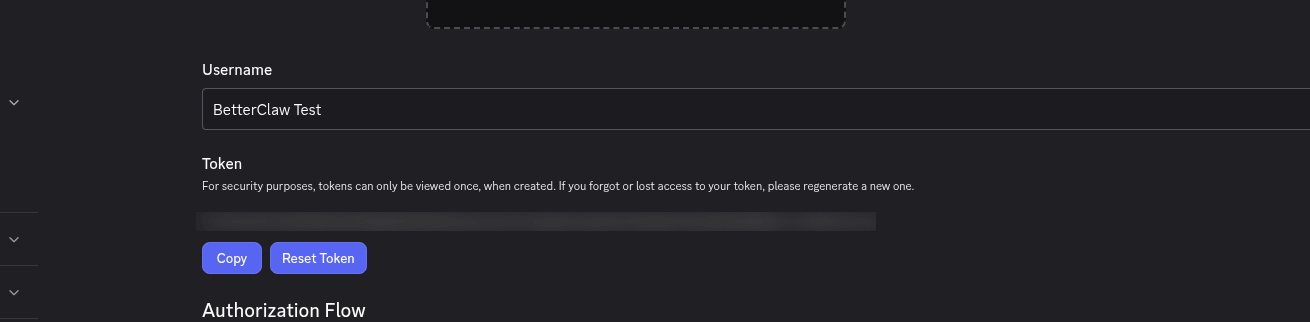 Bot token section in the Discord Developer Portal with Reset Token and Copy buttons